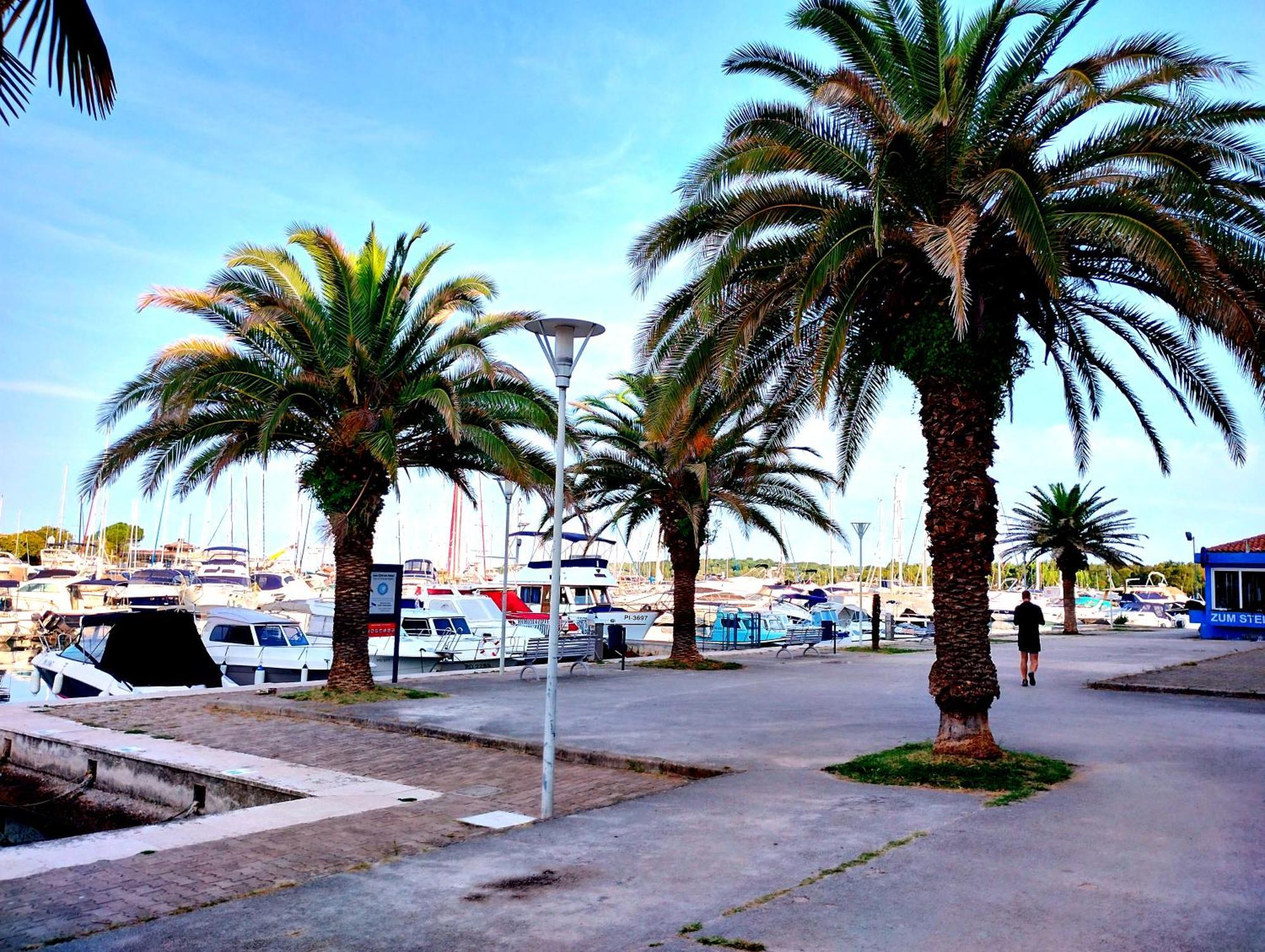 Premium Apartment Eden Poreč Kültér fotó